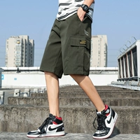 DK315 Армия Зеленая