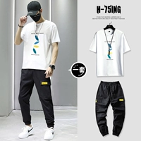 T0191 White + 832 Black