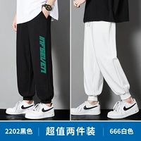 2202 черный +666 белый