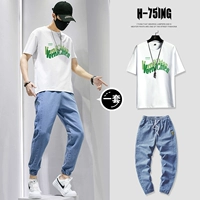 T0183 White + 836 Blue