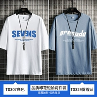 T0307 White+T0329 Smog Blue