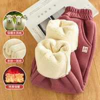 Соус Красный 【Вечнозеленые кашемир ягненка】