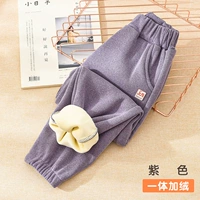 Фиолетовый [один -кузов плюс бархат]