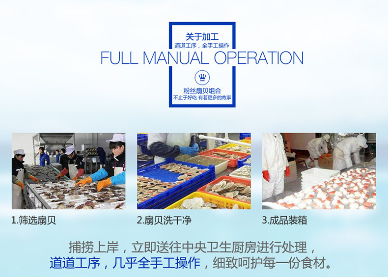 海洋世家 蒜蓉粉丝扇贝 280g*3袋 加热即食 图10
