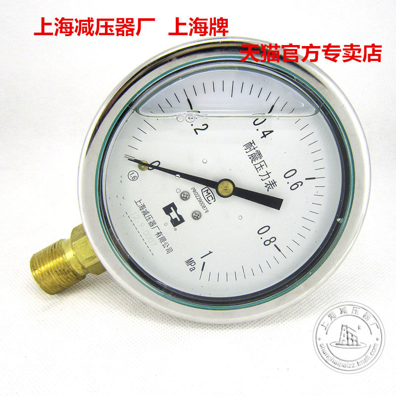 YN100 shock-resistant pressure meter stainless steel housing resistant pressure meter Shanghai pressure reducer factory 0 1 1 6 1 60