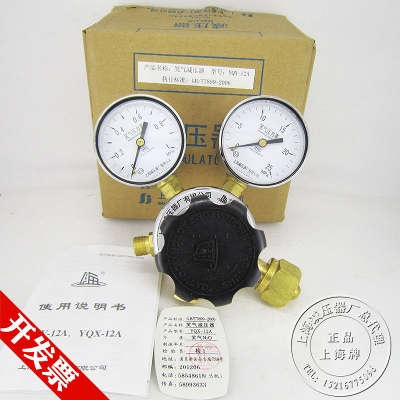 YQX-12A xiao gas double meter head reducer gas N2O steel bottle pressure regulation valve 1*25 Shanghai pressure reducer factory