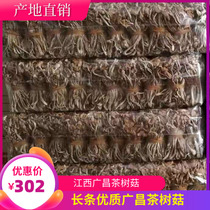 24新品江西广昌茶树菇干货产地热卖开伞长条扎把款10斤装清香菇类