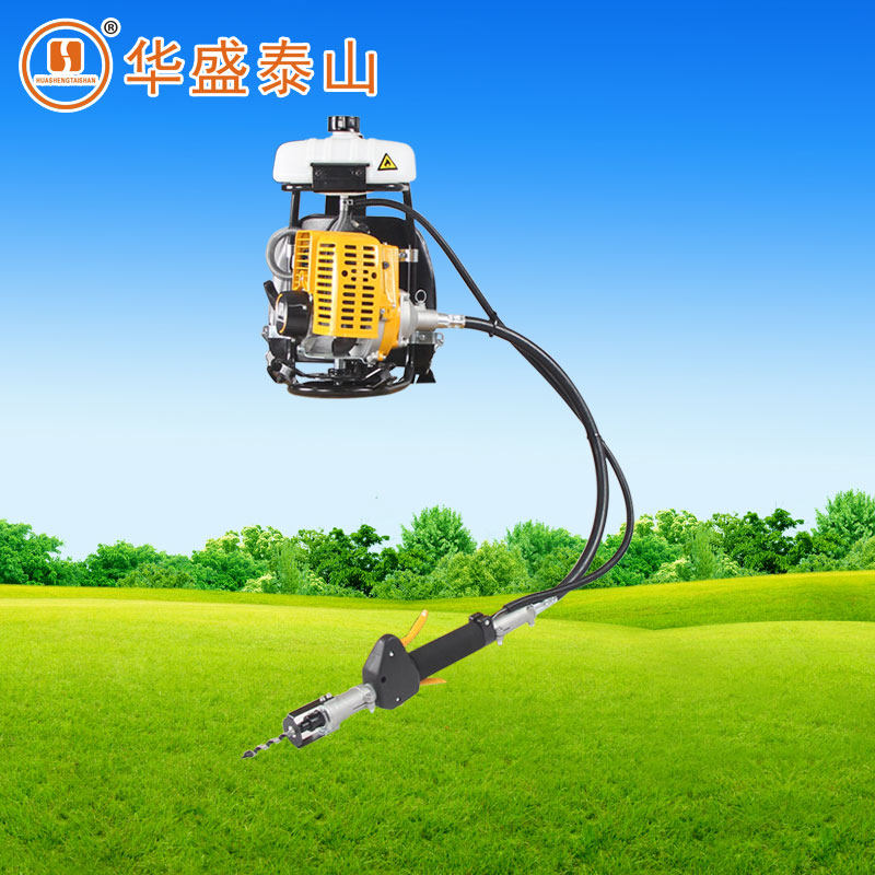 Shandong Huasheng BG305D knapsack punching injection machine for tall trees to control forestry diseases and insect pests