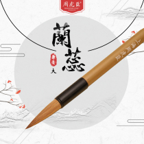 Zhou Huchens brush and brush (Lan Rui) regular script running book students beginner calligraphy and painting brush