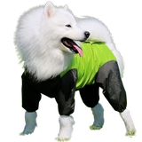 Собака с четырьмя легтя