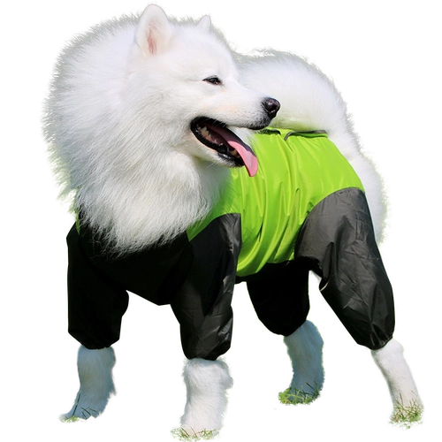 Собака с четырьмя легтя