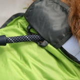 Собака с четырьмя легтя