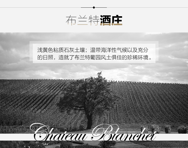 法国马孔大赛获奖款 拉蒙 AOC级 干红葡萄酒 750ml*6支 图6