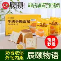 Chen Summer Milk Hand Ripping Bread 6 Sacks * 85g Pure Milk Breakfast Diary Soft Bread Block Bagged New date