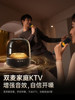 Golden Fortune Microphone and Speaker Combo Home Karaoke Family Ktv Speaker Set Singing Wireless Karaoke