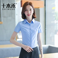 Обычный лидер синий (короткие рукава)