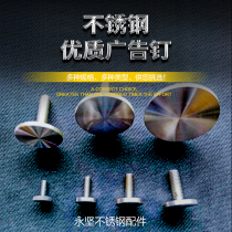 304 stainless steel solid nails advertising nails stair handrail glass clips glass nails license plate screws mirror nails