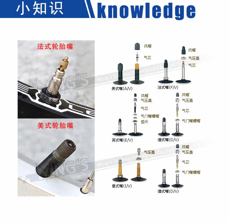 Pompe à vélo BETO - Ref 2390139 Image 29