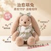 Rabbit Plush Toy, Cute and Soft, Sleeping Hug Doll, Gift for Girlfriend, New Year's Day, Birthday Gift