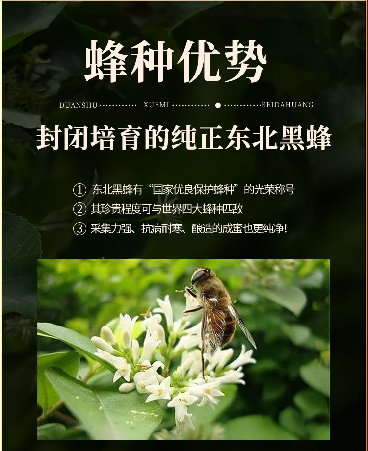 500强 北大荒 天然椴树雪蜜 1000g*2瓶 0糖0防腐剂0抗生素 图8
