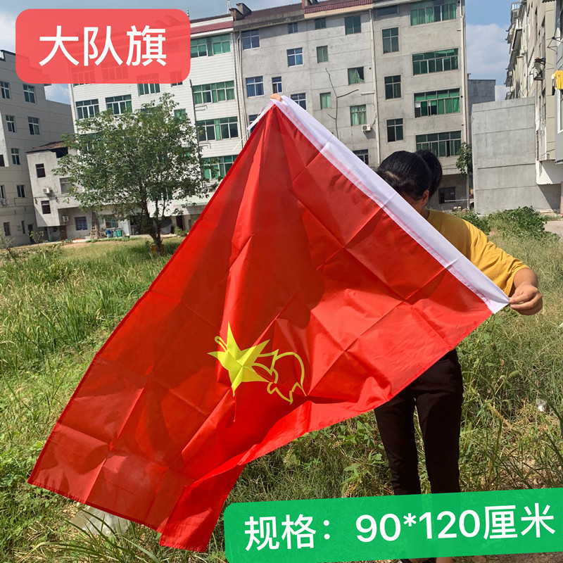 Less Pioneer Flag Flag Squadron Flag Squadron Flag Team Seek Flag Flag Flag Spink Textile Team Flag Pole Stainless Steel Reduction Flag