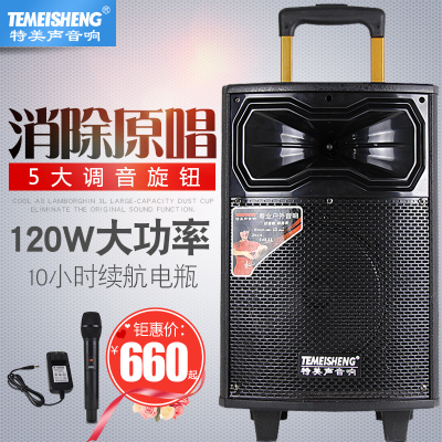 Temei Sound QX31 Square Dance Sound Outdoor Llever K Song High Power Wood Mobile Portable Soundtrack Bluetooth Speaker Big Volume Heavy Bass with Wireless Microphone Event Performance