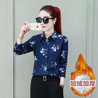 1808 синий (плюс бархат)