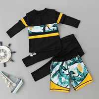 Трех -цветочный цвет