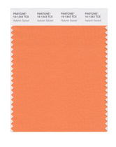 PANTONE PANTONE Clothing Home 16-1343tcx to 16-1429tcx Single Cotton Edition Color Card