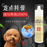 Индукционный агент поставляет домашних животных, чтобы побудить туалет туалета для туалета для собак, чтобы найти и исправить дерьмо, чтобы направлять