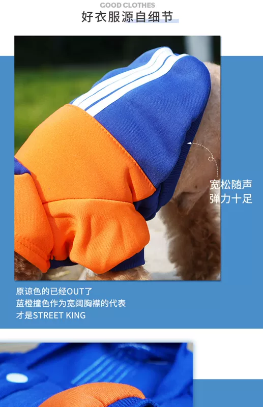 Teddy dog ​​quần áo mùa đông hơn gấu áo len mùa thu và mùa đông Bomei puppy pet quần áo mùa thu chó con mèo mùa hè - Quần áo & phụ kiện thú cưng phụ kiện thú cưng