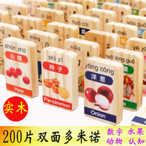 200 Chinese characters fruits numbers animals cognition Dominoes childrens educational toys 4 baby literacy blocks