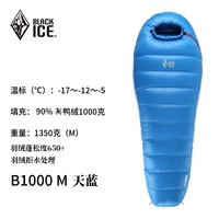 Обновление B1000 Blue M
