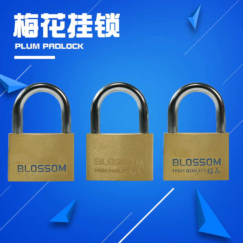 Plum Blossom Bronze Padlock Luggage Outdoor Home Gate Waterproof Anti-Rust Padlock 20 20 25 25 45 45 55mm Small Copper Lock