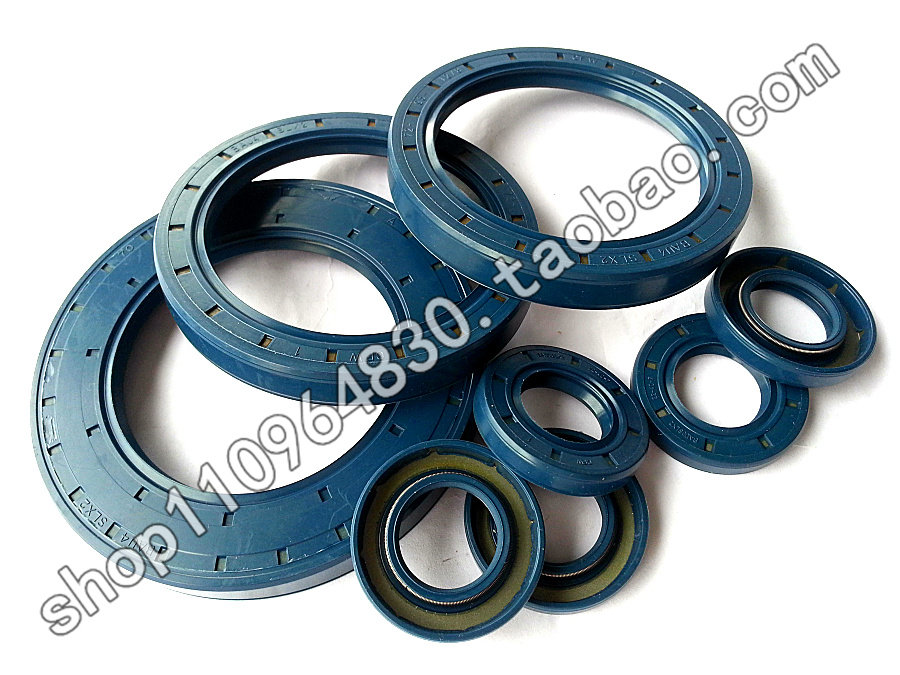 SIMRIT Original Germany Imported Skeleton Oil Seal CFW BAU2SLX2 35 62 7 Rotary Shaft Seal Ring