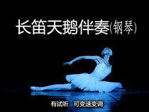 Flute Swan Pure Accompaniment has audition for variable speed transformation of San Saint San San Swan Animal Carnival