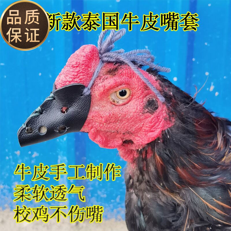 Fighting Chicken Supplies Hopper Chicken Mouth Cover Fighting Chicken Protective Gear Fighting Chicken Training Supplies Leather Mouth Cover Bucket Chicken Feet Cover