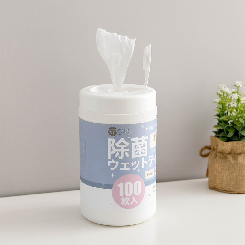 Home cleaning wet towels Removable Germicidal Sanitizing Clean Paper Towel Phone Screen Toilet Wipe Shoe Towels 100 smoke