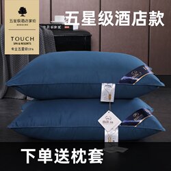 High-Quality Feather Velvet Pillow Core with Pillowcase, Five-Star Hotel Pillow, Men's Single-Person Home Use Neck Protection Health Pillow, Pair