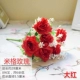 Royal Blue Mig Rose Red