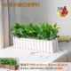 40 см заборов Green Loofa Fair Gibleble Comminemble Place