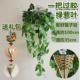 1 Получите подарочный пакет Gum Green Glory