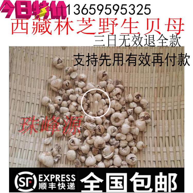 3 days invalid refund full payment the same goods Chengdu 260 one two Tibetan wild shellfish Sichuan shellfish 50 grams