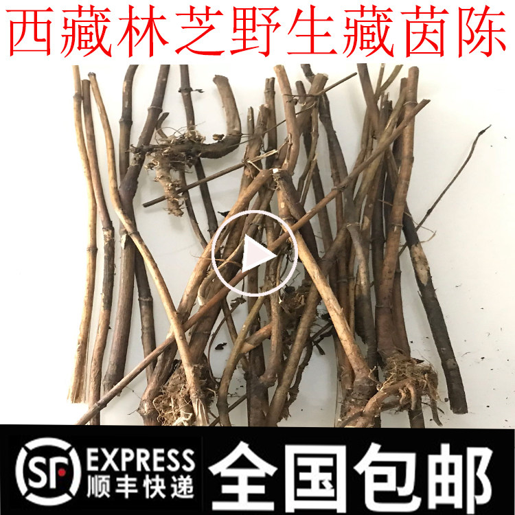 350 gr Tibetan Lingzhi Wild Tibetan Yin Zang Inn Chen BiNepal's bitter effect is very good