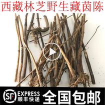 500g Tibet Nyingchi wild Tibetan Chen because the bitter effect of Nepal is very good