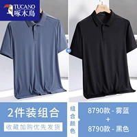 8790 Fog Blue + 8790 Black