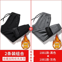 1881 черный +1881 серый