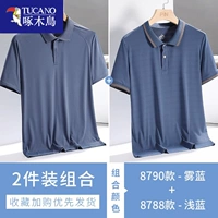 8790 Fog Blue + 8788 светло -синий