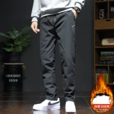 Мужские зимние дорожные удерживающие тепло бархатные штаны с пухом, увеличенная толщина, утиный пух