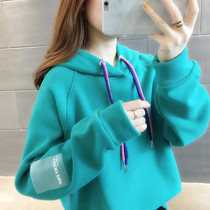  Hooded spring and autumn Korean version 2020 new loose net red short thick sweater womens spring jacket tide ins